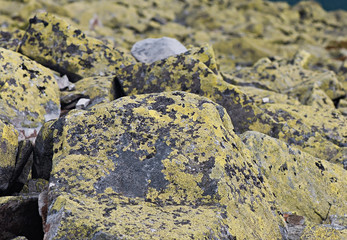 Background of stone, texture of stone. Abstract background. Natural stone.