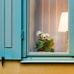Window with lamp and flower