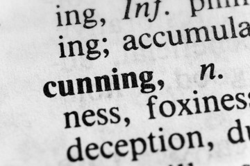 Obraz premium Cunning