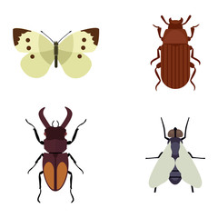 Fototapeta premium Insect icons flat set isolated on white background