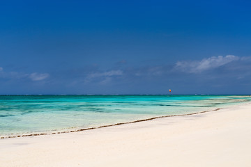 Fototapeta premium Idyllic beach at Caribbean