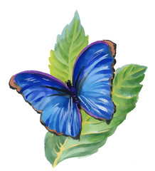 Watercolor blue butterfly on green leaves.