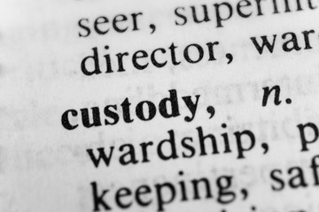 Obraz premium Custody