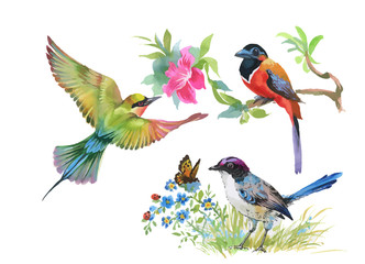 Watercolor colorful Birds and butterfly with leaves and flowers.