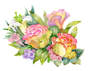 Watercolor Summer Garden Roses Blooming Flower on White Background.