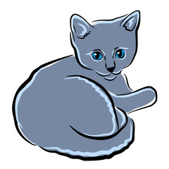 Vector close up portrait of popular British shorthair kitten breed isolated on white background. Rare blue colouration. Hand drawn sweet home pet. Greeting birthday card design. Clip art illustration