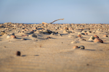 Kamienista plaża