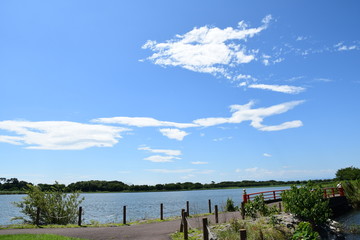 A lake in a swamp with blue sky and fine clouds