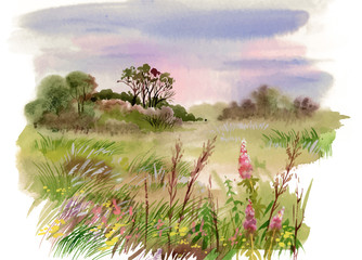 Watercolor summer rural landscape