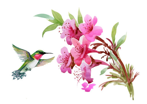 Watercolor wild exotic birds on flowers and twigs pattern on white background