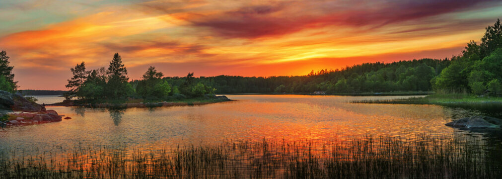 Vivid golden sunset in the archipelago of Scandinavia. Evergreen