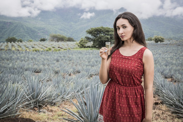 Mexican agave landscape with woman and tequila