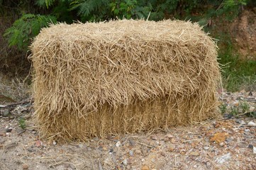dry straw on the ground