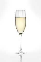 a glass of white wine on a white background.