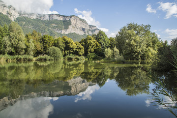 Fototapeta na wymiar Marais de Montfort - Grésivaudan - Isère.