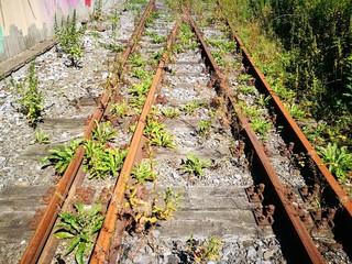 Gleisbett mit rostiger alter Weiche und Eisenbahngleisen mit Unkraut und Wildwuchs im Sonnenschein...