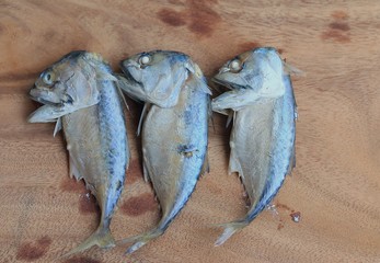 mackerel