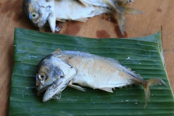 mackerel