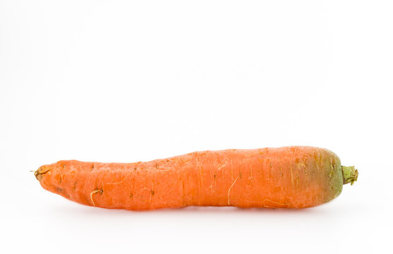 Biological carrot