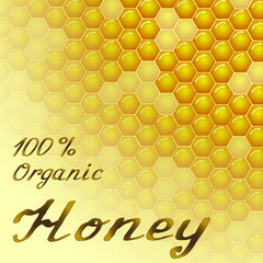 Vector honeycombs texture background.
