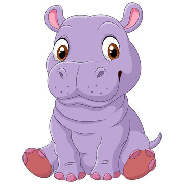 Cute hippo sitting