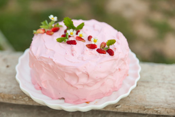 Obraz na płótnie Canvas Delicate cake with strawberry