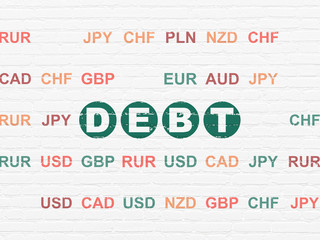 Business concept: Debt on wall background