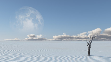 Withered tree in Zen Inspired Desert Landscape