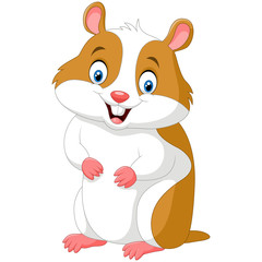 Cute hamster isolated on white background