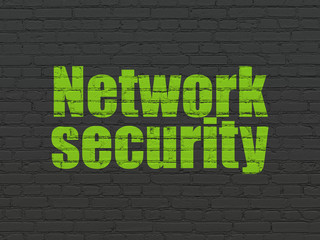 Privacy concept: Network Security on wall background