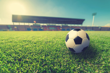 Green grass in soccer stadium