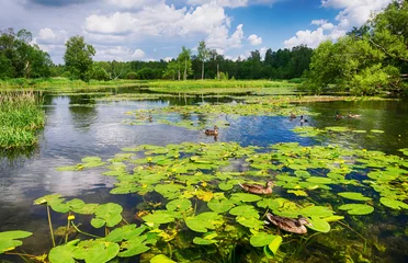 Fleecedeken met foto Landschap, een meer met bloeiende waterlelies © lanapopoudi
