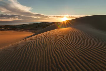 Gordijnen Picturesque desert landscape with a golden sunset over the dunes © Anton Petrus