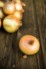 Organic Fresh Onion Bulbs