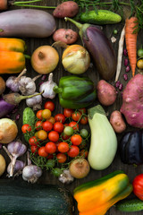 Fresh Organic Vegetables. Autumn Harvest Concept. Potatoes, toma