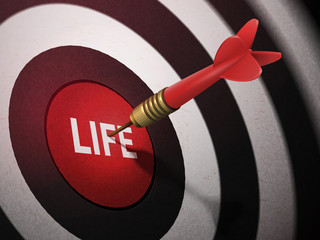 LIFE target hitting by dart arrow