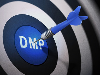 DMP target hitting by dart arrow