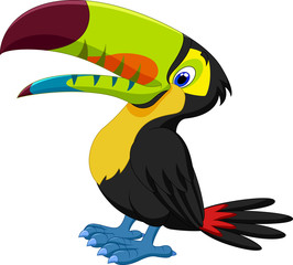 Funny toucan