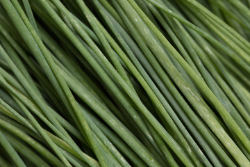bunch of fresh chives on a wooden cutting board, selective focus