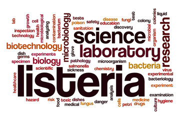 Listeria word cloud
