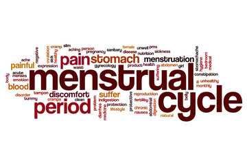 Menstrual cycle word cloud