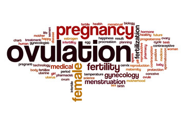 Ovulation word cloud