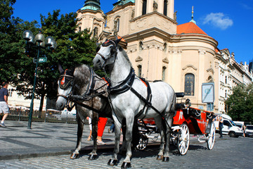 Fototapeta na wymiar Prague - town square with horses for turistic ride and St. Nicholas church.