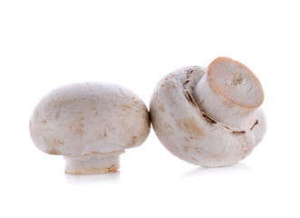 Champignon mushroom isolated on white background