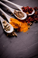 spices and herbs on wooden table , medicinal concept
