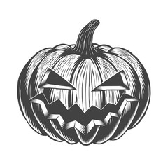 Black and white hand drawn halloween pumpkin. Isolated on white