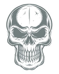 Isolated skull on white background. line work style