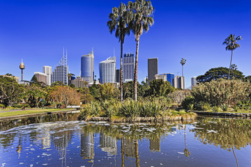 Fototapeta premium RGB Pond CBD Palm reflection