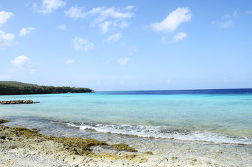 Fototapeta na wymiar Beach in Curacao island, Caribbean Sea