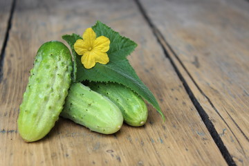 Spilling green cucumbers